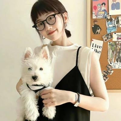 阿衰第四季